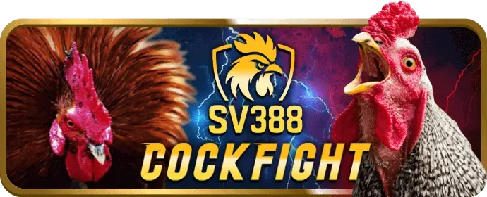 Bước 5: Mở và đăng nhập New66